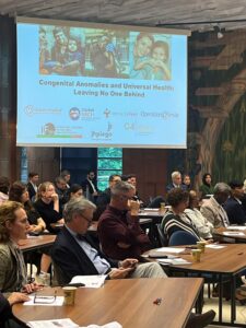 Engaged-Audience-WHA-Side-Event-Congenital-Anomalies-May-2024