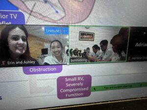 Screenshot of virtual nurse course with Erin Babine and Boston Children's nurse in one window and a group of Vietnam nurses in another window.
